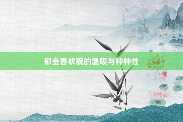 郁金香状貌的温暖与种种性