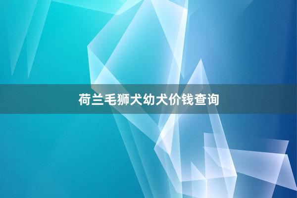 荷兰毛狮犬幼犬价钱查询