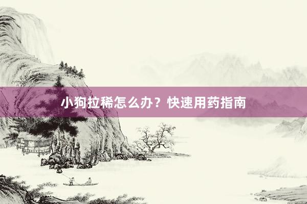 小狗拉稀怎么办？快速用药指南
