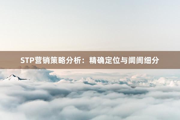 STP营销策略分析：精确定位与阛阓细分